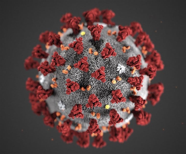 close up shot of corona virus